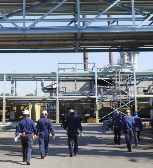 Group of workers wearing overalls and hard hats walking towards a building 